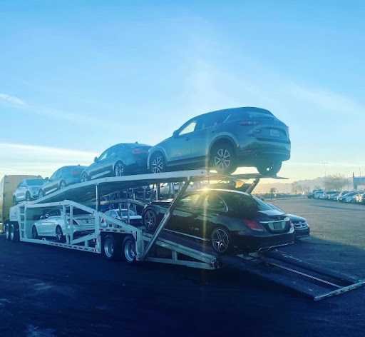 AF1QipMbFEgpqNXzTx9V9mxFhKLmohc8LGqPQ3TrMClM=s512