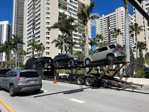 AF1QipOz5ZIYs_MlUb63iDj8wtWs5DMdYIJ1JLmQBkZx=s512