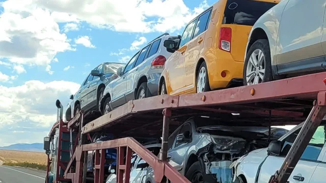 professional-auto-transport