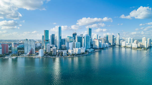 Best Auto Transporter in Miami, Florida